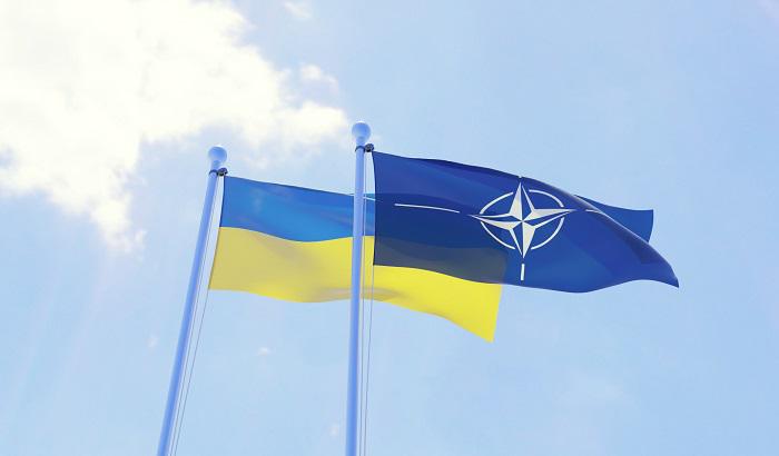 Депутаты отказались просить США предоставить Украине статус основного союзника вне НАТО