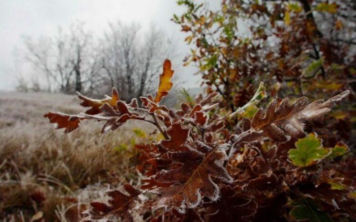 Грозы и заморозки прогнозируются в некоторых областях Казахстана
