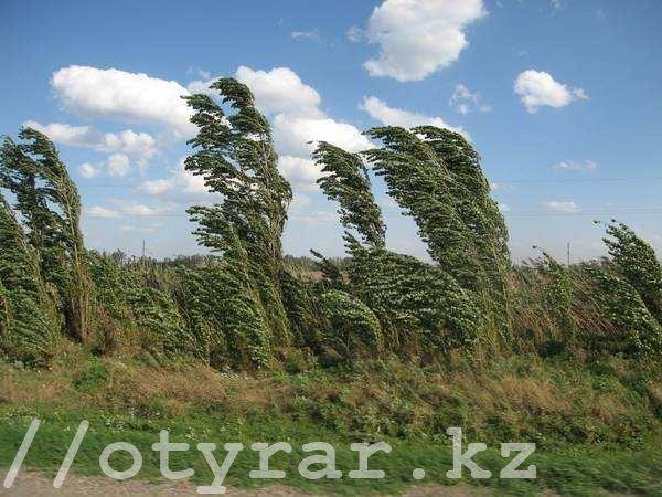 В Шымкенте и Туркестанской области 27 сентября объявлено штормовое предупреждение