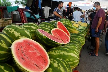 В Якутии нашли способ сделать арбузы за пять тысяч рублей дешевле