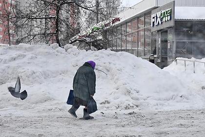 В Госдуме рассказали о специальных льготах для одиноких пенсионеров