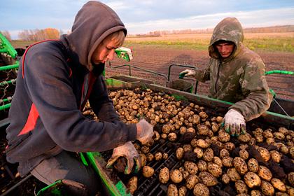 Проблемы России связали с дефицитом мигрантов