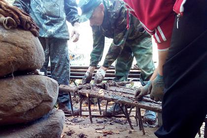 В новгородской деревне нашли 300-летнюю борону