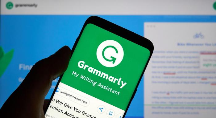 Украинский онлайн-сервис исправления ошибок Grammarly иностранные инвесторы оценили в $13 млрд