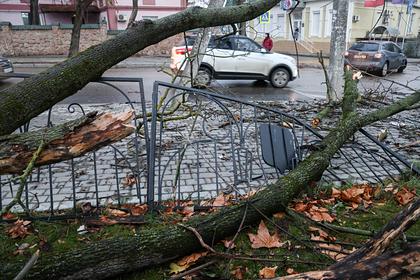 В российском регионе из-за непогоды пострадали пять человек