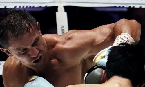 Бою Головкин — Мурата с ярким нокаутом GGG неожиданно понизили рейтинг