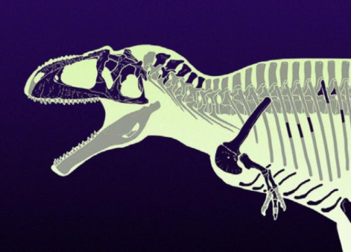 Найденного 4-тонного динозавра назвали в честь дракона из 