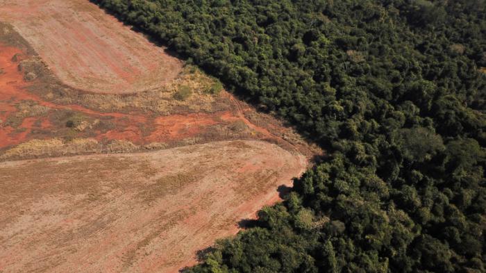 Бразилия разрешила проложить дорогу через леса Амазонки
                29 июля 2022, 19:28
