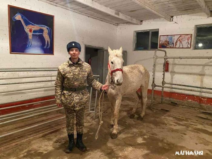 Единственный ветеринар в Вооруженных Силах