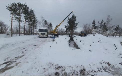 В Караганде незаконно пересаживали деревья