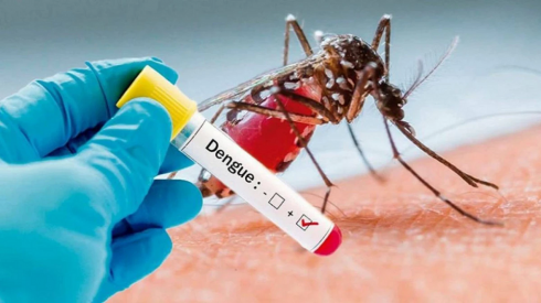 Казахстанских туристов предупреждают об опасности заражения лихорадкой денге