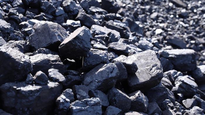 Карагандинцев просят не ждать холодов и покупать уголь заранее
                26 июля 2023, 16:02