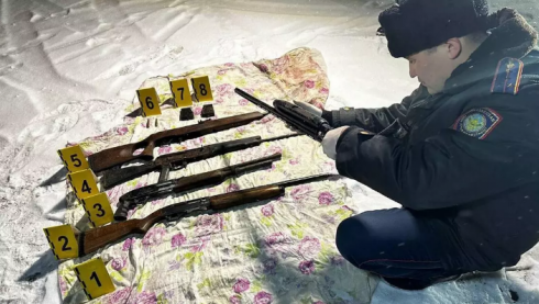 Оружие, патроны и туши сайгаков нашли в гараже в Сатпаеве