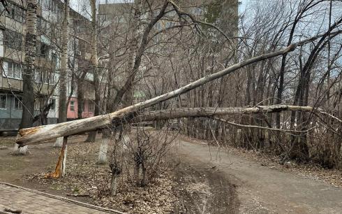 В Караганде сильный ветер! Горожан просят не выходить из дома