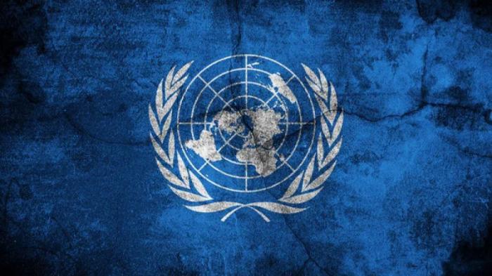 ООН приняла резолюцию по сектору Газа
                23 декабря 2023, 06:30