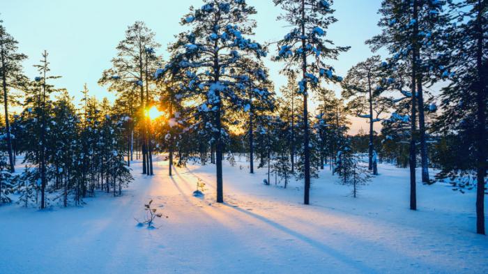 Морозы до 33 градусов и метели ожидаются в Казахстане
                15 января 2024, 11:39