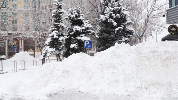 Снег всю ночь шел в Алматы: что творится на дорогах
                17 января 2024, 10:31