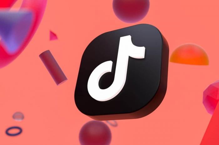 TikTok надеется на посредничество Илона Маска в переговорах с властями США