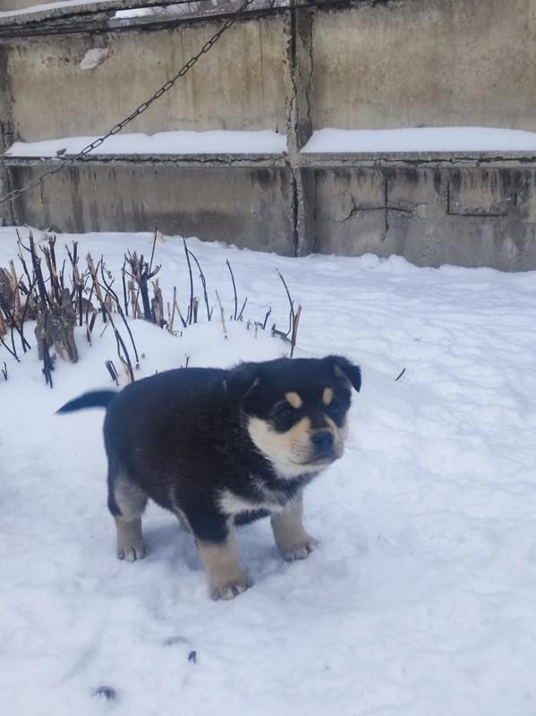 ГЛАВНОЕ НА СЕГОДНЯ