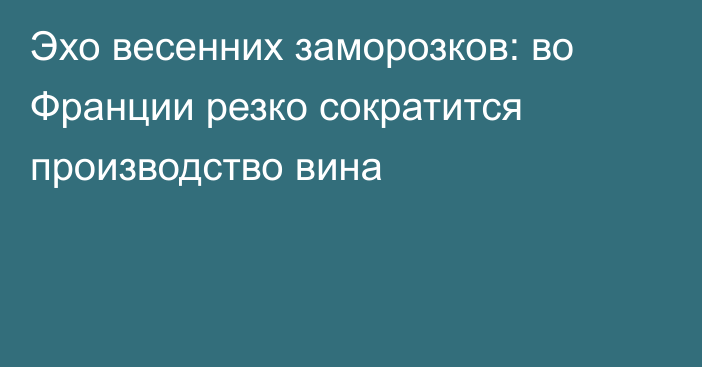 Эхо весенних заморозков: во Франции резко сократится производство вина