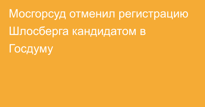 Мосгорсуд отменил регистрацию Шлосберга кандидатом в Госдуму