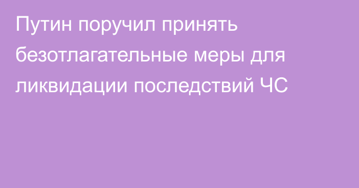 Путин поручил принять безотлагательные меры для ликвидации последствий ЧС