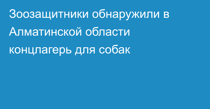 Зоозащитники обнаружили в Алматинской области концлагерь для собак