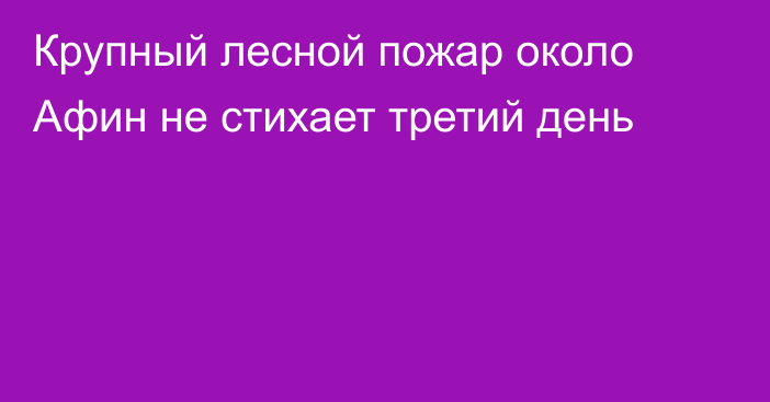 Крупный лесной пожар около Афин не стихает третий день