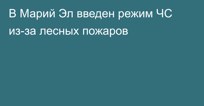 В Марий Эл введен режим ЧС из-за лесных пожаров