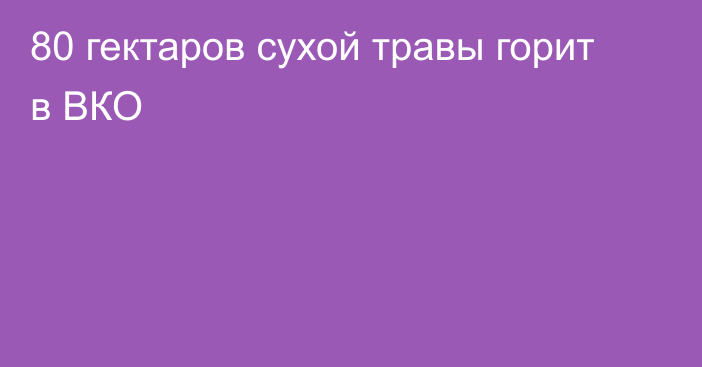 80 гектаров сухой травы горит в ВКО