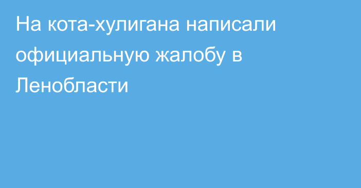 На кота-хулигана написали официальную жалобу в Ленобласти