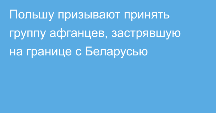 Польшу призывают принять группу афганцев, застрявшую на границе с Беларусью