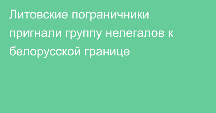 Литовские пограничники пригнали группу нелегалов к белорусской границе