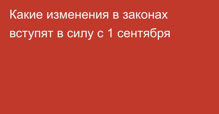 Какие изменения в законах вступят в силу с 1 сентября