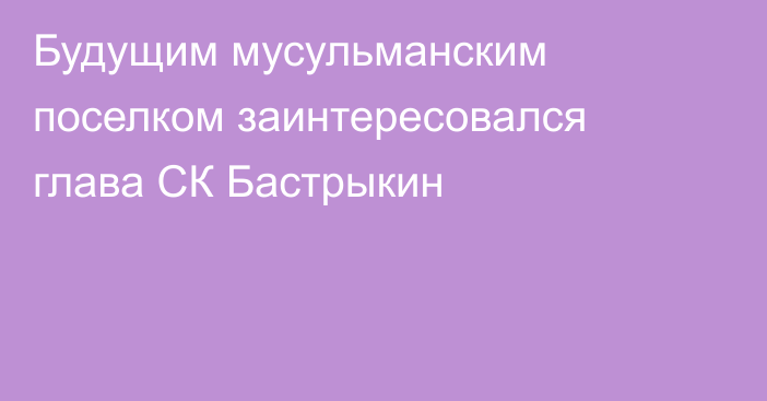 Будущим мусульманским поселком заинтересовался глава СК Бастрыкин