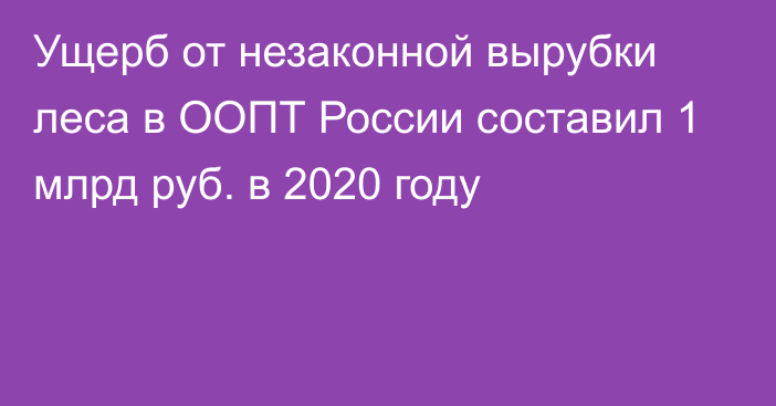 Ущерб от незаконной вырубки леса в ООПТ России составил 1 млрд руб. в 2020 году