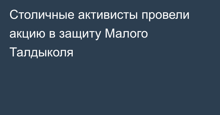 Столичные активисты провели акцию в защиту Малого Талдыколя