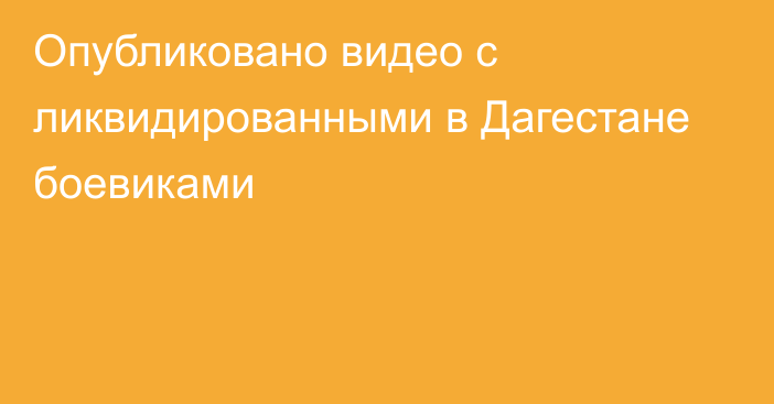 Опубликовано видео с ликвидированными в Дагестане боевиками