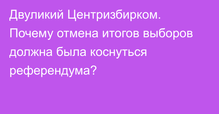 Двуликий Центризбирком. Почему отмена итогов выборов должна была коснуться референдума?