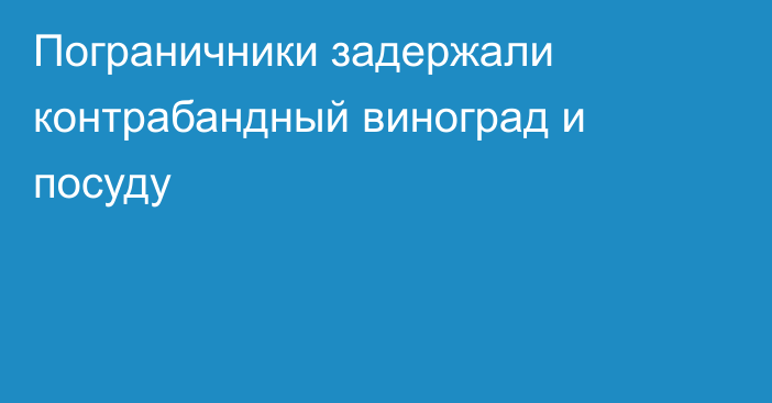 Пограничники задержали контрабандный виноград и посуду