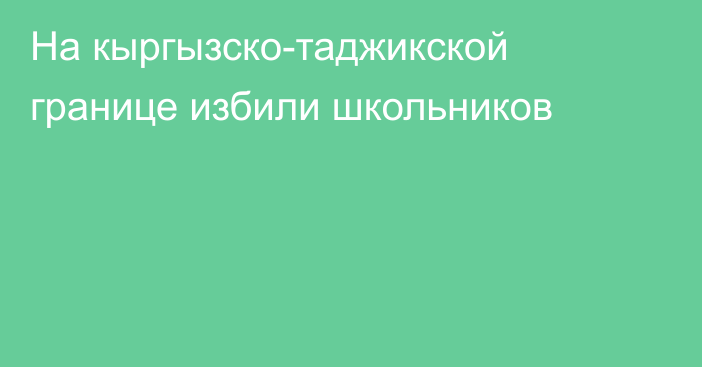 На кыргызско-таджикской границе избили школьников