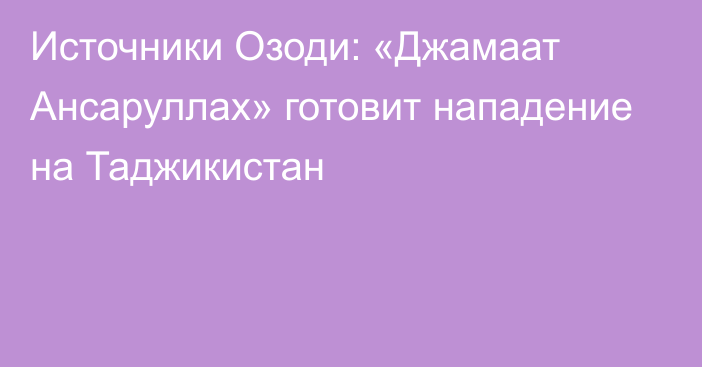 Источники Озоди: «Джамаат Ансаруллах» готовит нападение на Таджикистан