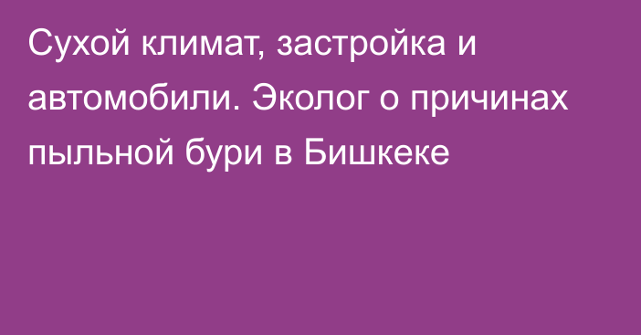 Сухой климат, застройка и автомобили. Эколог о причинах пыльной бури в Бишкеке