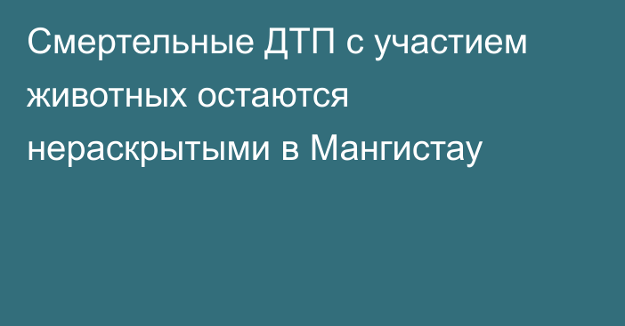 Смертельные ДТП с участием животных остаются нераскрытыми в Мангистау