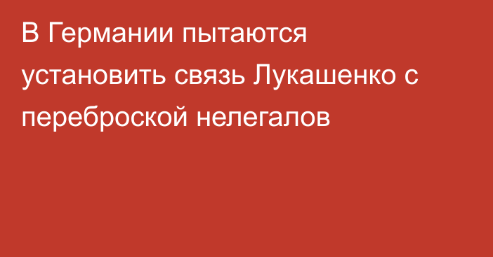 В Германии пытаются установить связь Лукашенко с переброской нелегалов