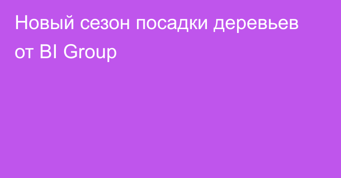 Новый сезон посадки деревьев от BI Group