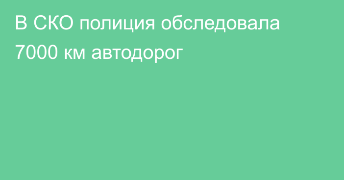 В СКО полиция обследовала 7000 км автодорог