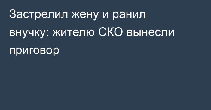 Застрелил жену и ранил внучку: жителю СКО вынесли приговор