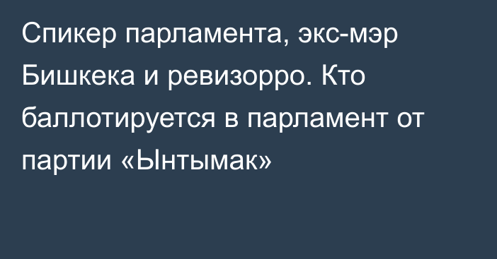 Спикер парламента, экс-мэр Бишкека и ревизорро. Кто баллотируется в парламент от партии «Ынтымак»