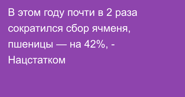 В этом году почти в 2 раза сократился сбор ячменя, пшеницы — на 42%, - Нацстатком